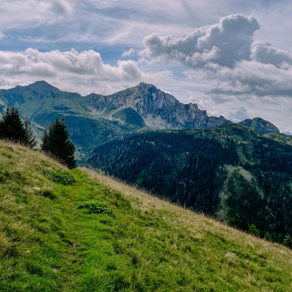 Blick auf die Karnischen Alpen 