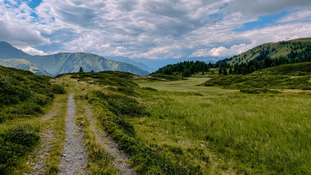 auf dem Weg auf dem Wiesenplateau