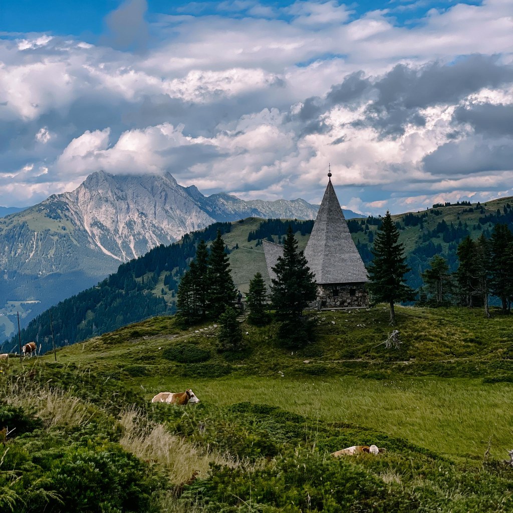 Blick auf die Friedenskapelle in der Nähe der Zollnerseehütte, davor 2 Kühe im Gras
