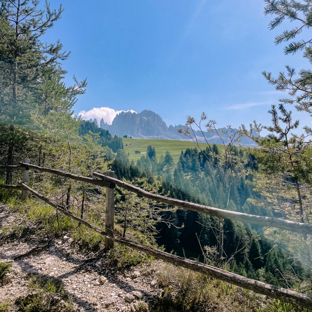 Aufstieg von Weisslahnbad, Ausblick auf den Rosengarten 